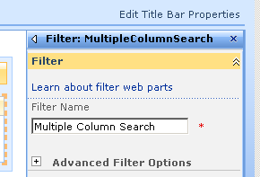 06_multiple_column_search_text_filter_name